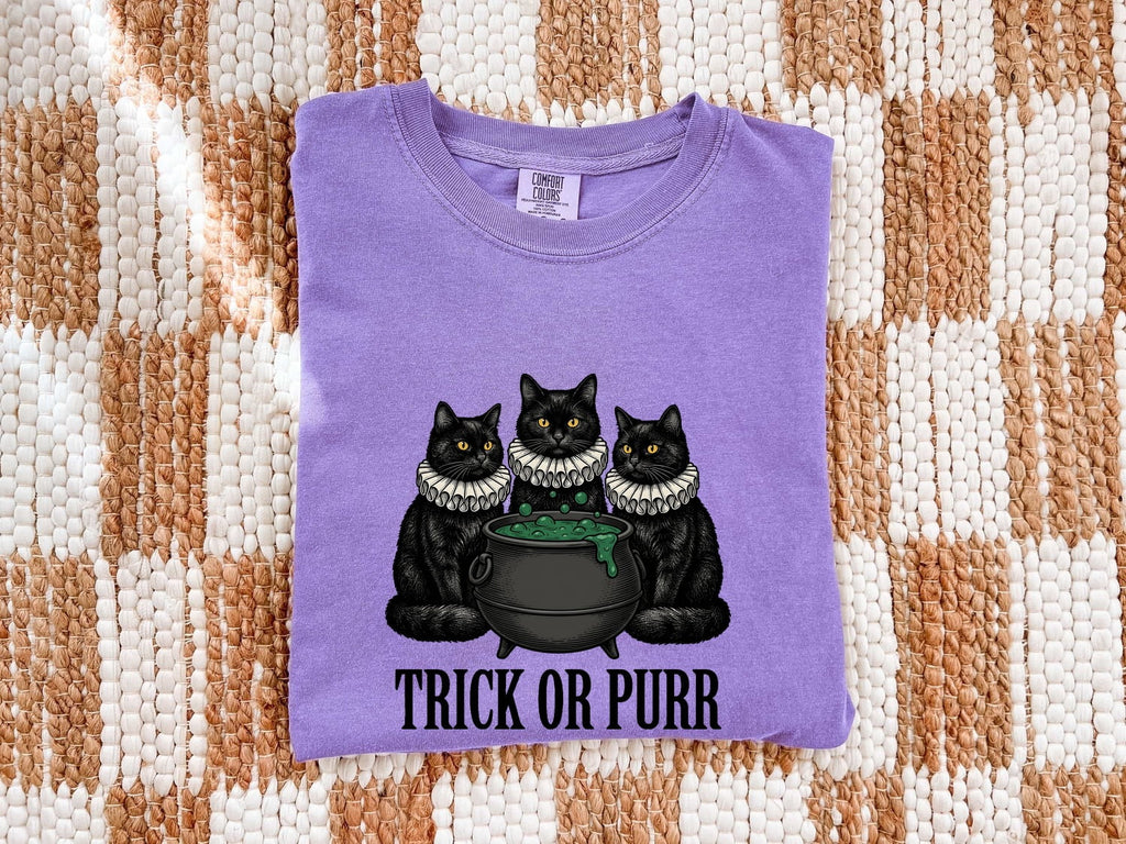 Halloween Black Cat Shirt – Spooky Witch Graphic Tee for Women