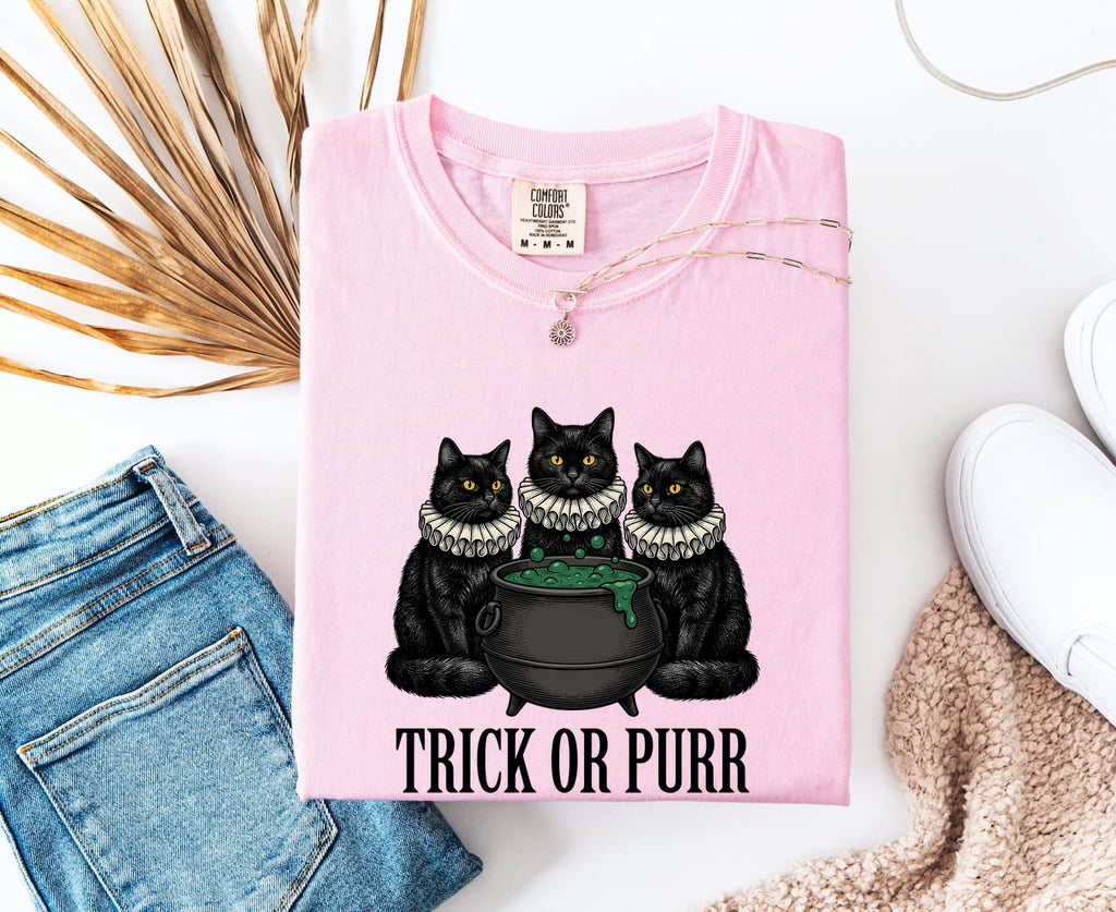 Halloween Black Cat Shirt – Spooky Witch Graphic Tee for Women