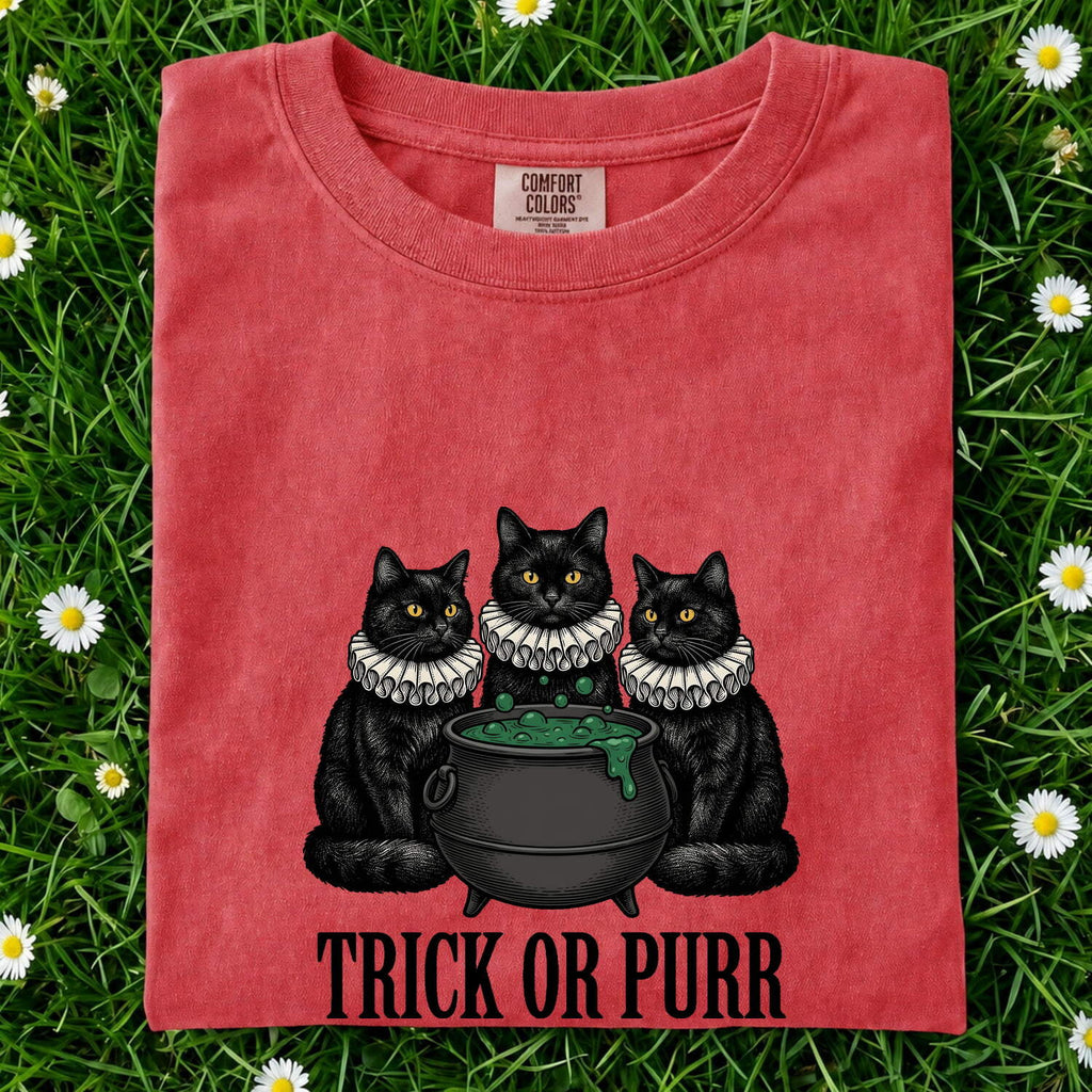 Halloween Black Cat Shirt – Spooky Witch Graphic Tee for Women