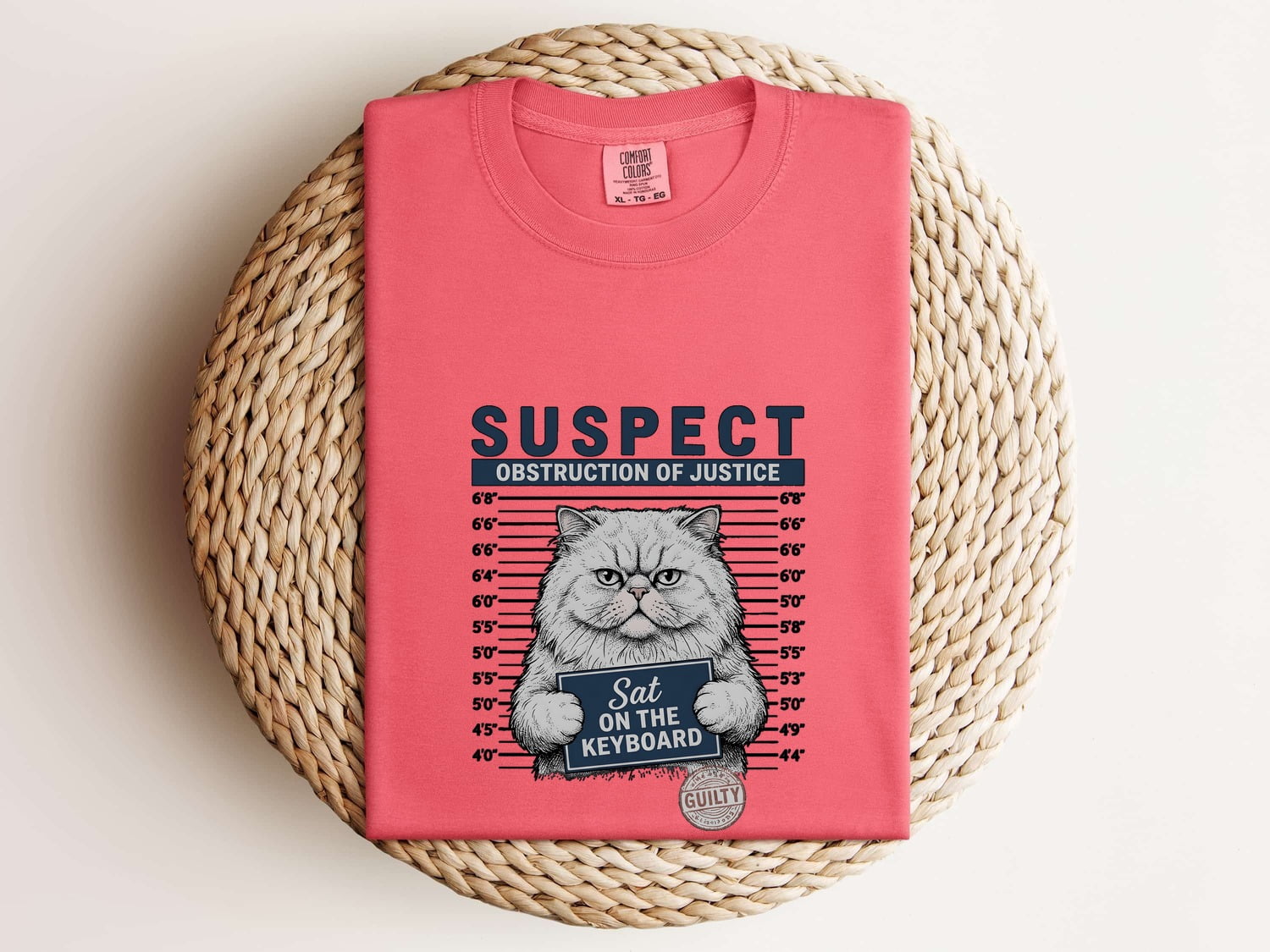 Grumpy Cat Shirt for Women – Vintage Mugshot Police Lineup Graphic Tee