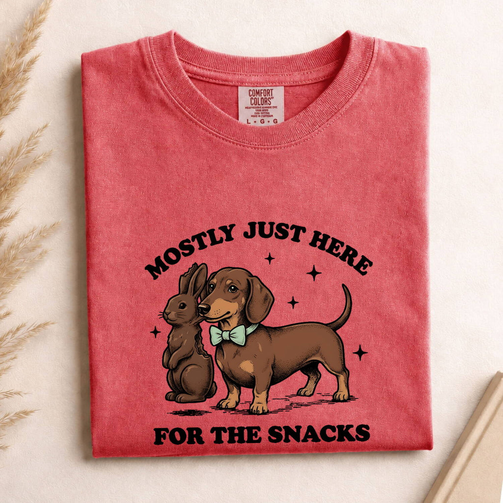 Dachshund Rabbit Shirt Easter Pet Gift Women Retro Tee Wiener Dog T-Shirt Easter Fan Doxie Graphic Tshirt Sketch Sparkles Tshirt