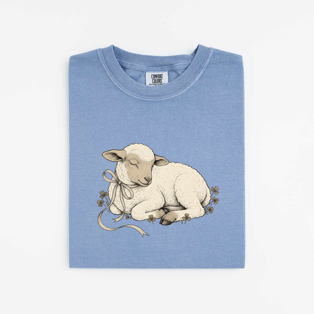 Newborn Lamb Shirt for Women – Easter Retro Sketch Sheep Shamrock Graphic Tee
