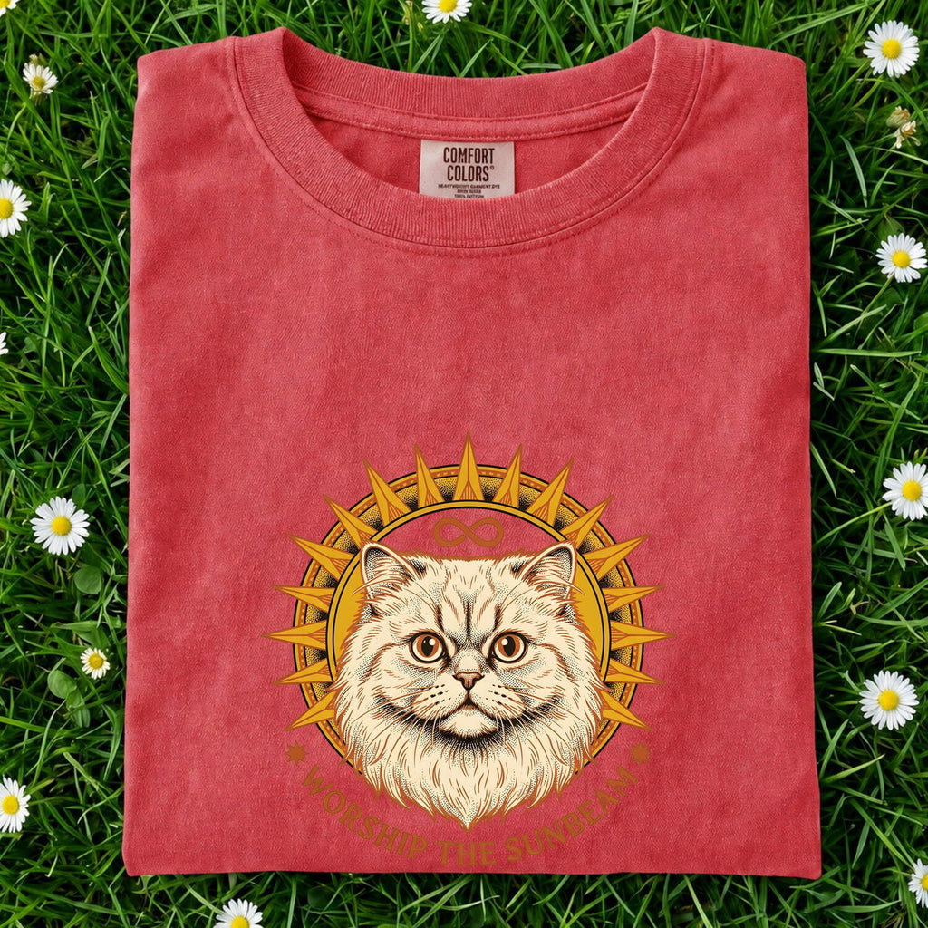 Persian Cat Shirt Cat Pet Gift Women Vintage Tee Cat T-Shirt Cat Fan Feline Tshirt Animal Graphic Hand Drawn Sun Rays Tshirt