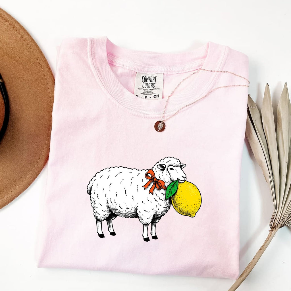 Valentine's Day Lamb Shirt for Women – Kawaii Retro Citrus Cute Sheep Animal Graphic Tee