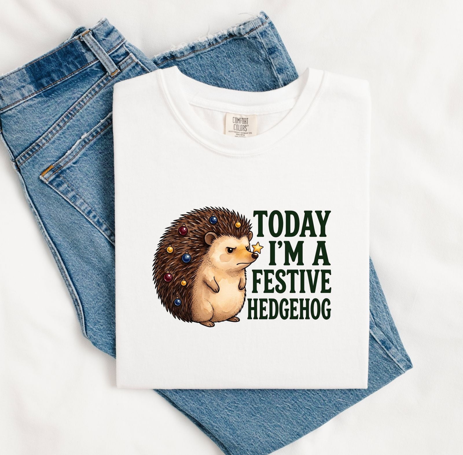 Christmas Hedgehog Shirt for Women – Watercolor Cartoon Prickly Animal Graphic Tee