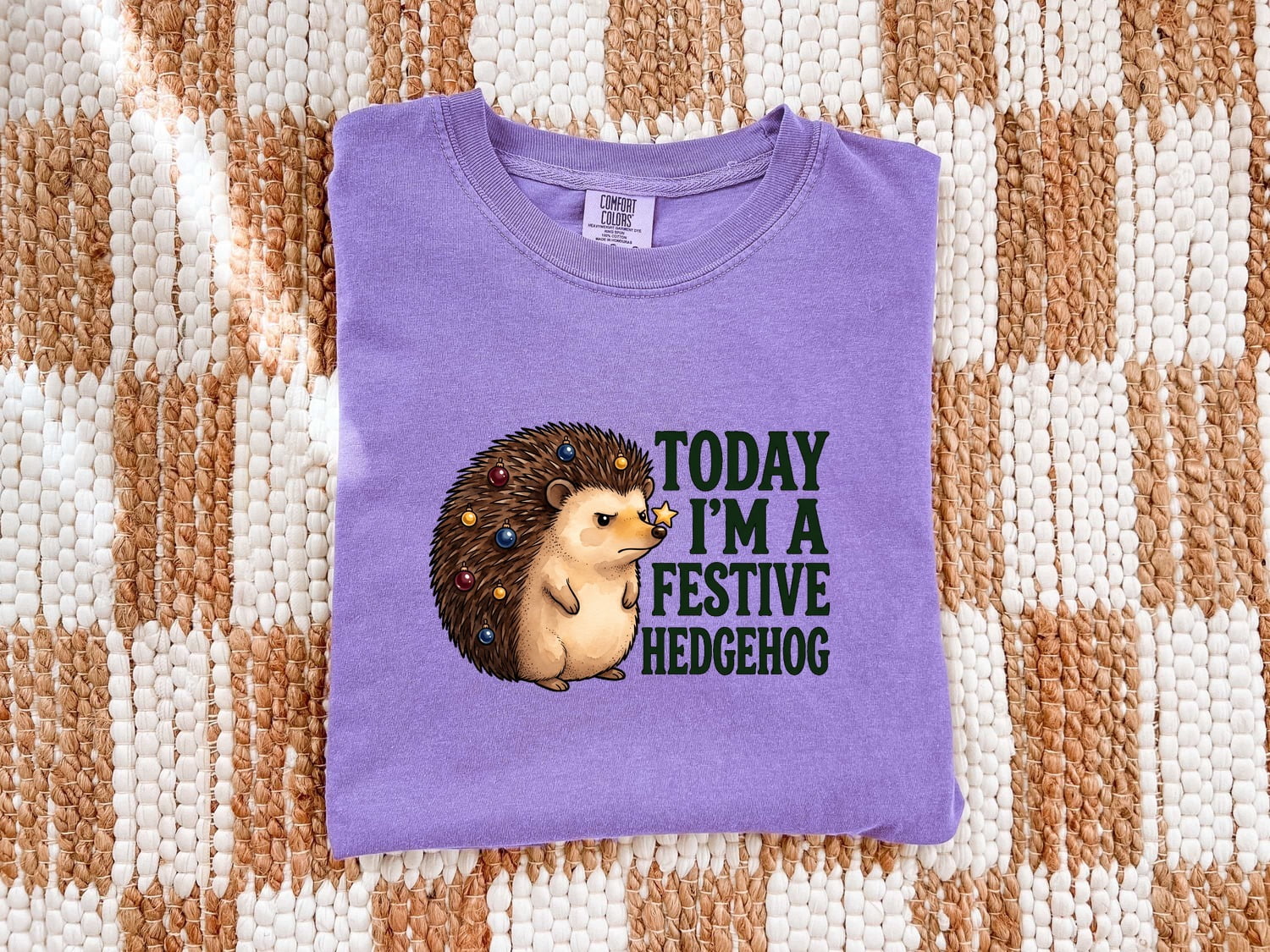 Christmas Hedgehog Shirt for Women – Watercolor Cartoon Prickly Animal Graphic Tee