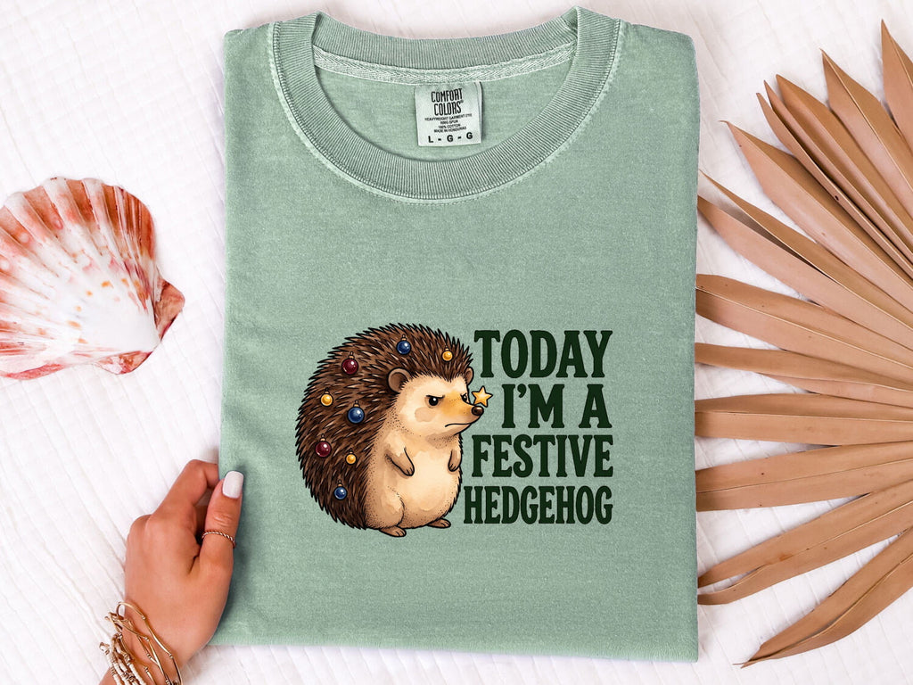 Christmas Hedgehog Shirt for Women – Watercolor Cartoon Prickly Animal Graphic Tee