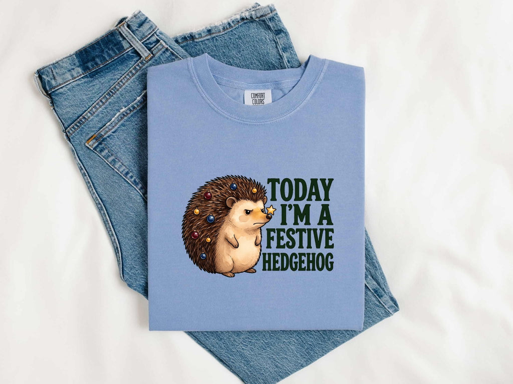 Christmas Hedgehog Shirt for Women – Watercolor Cartoon Prickly Animal Graphic Tee