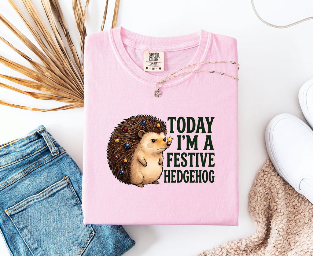 Christmas Hedgehog Shirt for Women – Watercolor Cartoon Prickly Animal Graphic Tee