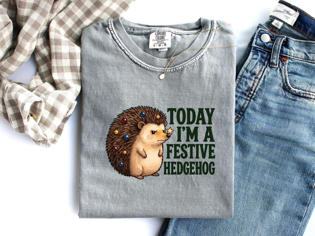 Christmas Hedgehog Shirt for Women – Watercolor Cartoon Prickly Animal Graphic Tee