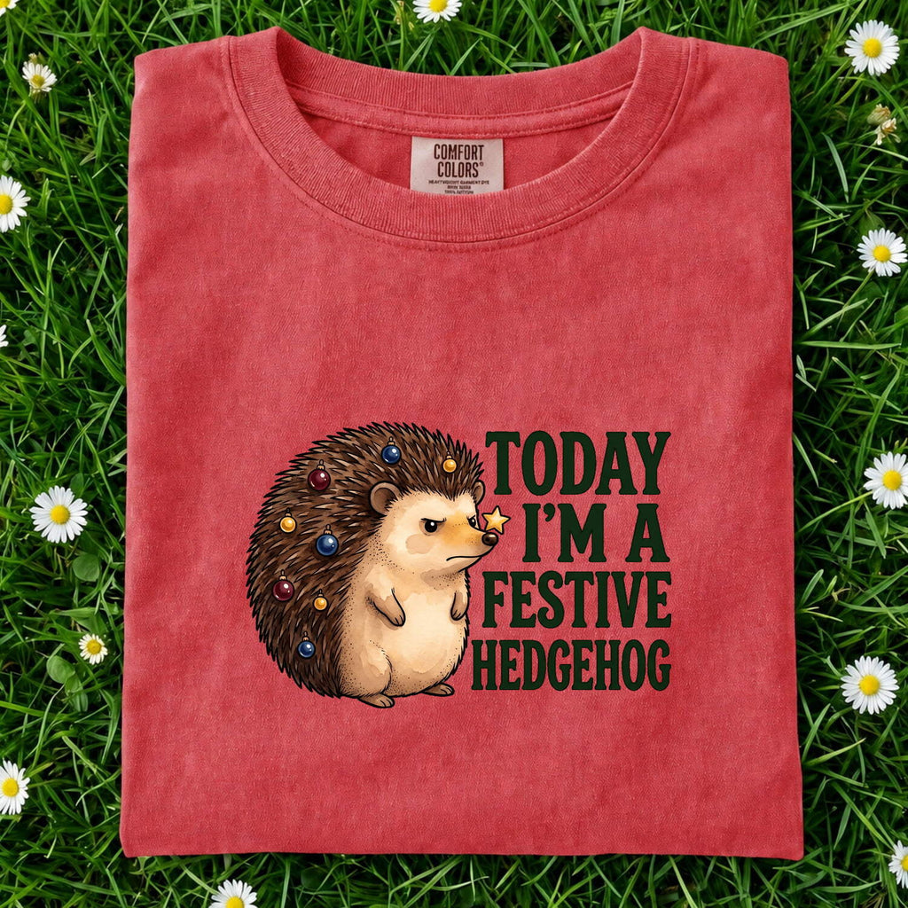 Christmas Hedgehog Shirt for Women – Watercolor Cartoon Prickly Animal Graphic Tee