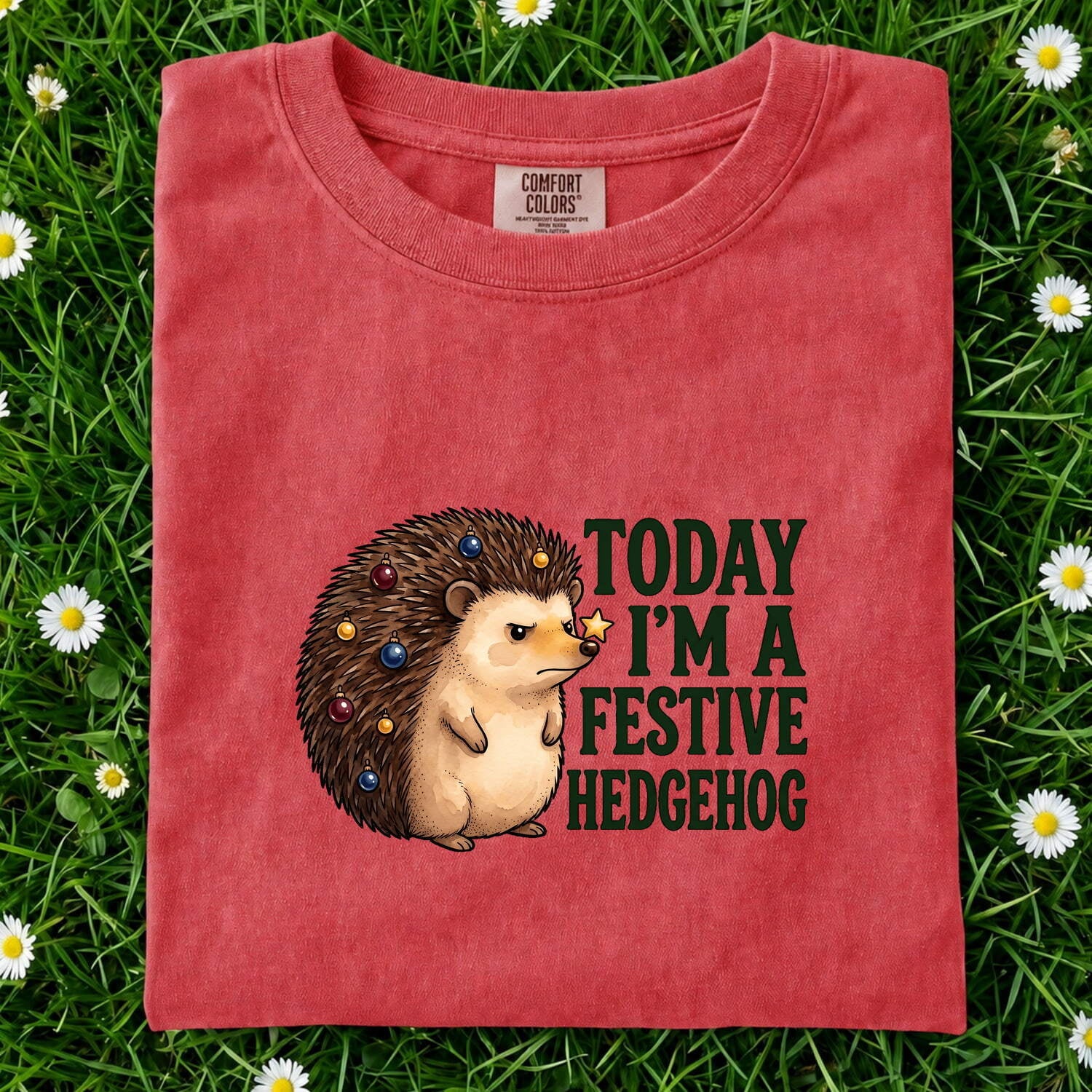 Christmas Hedgehog Shirt for Women – Watercolor Cartoon Prickly Animal Graphic Tee